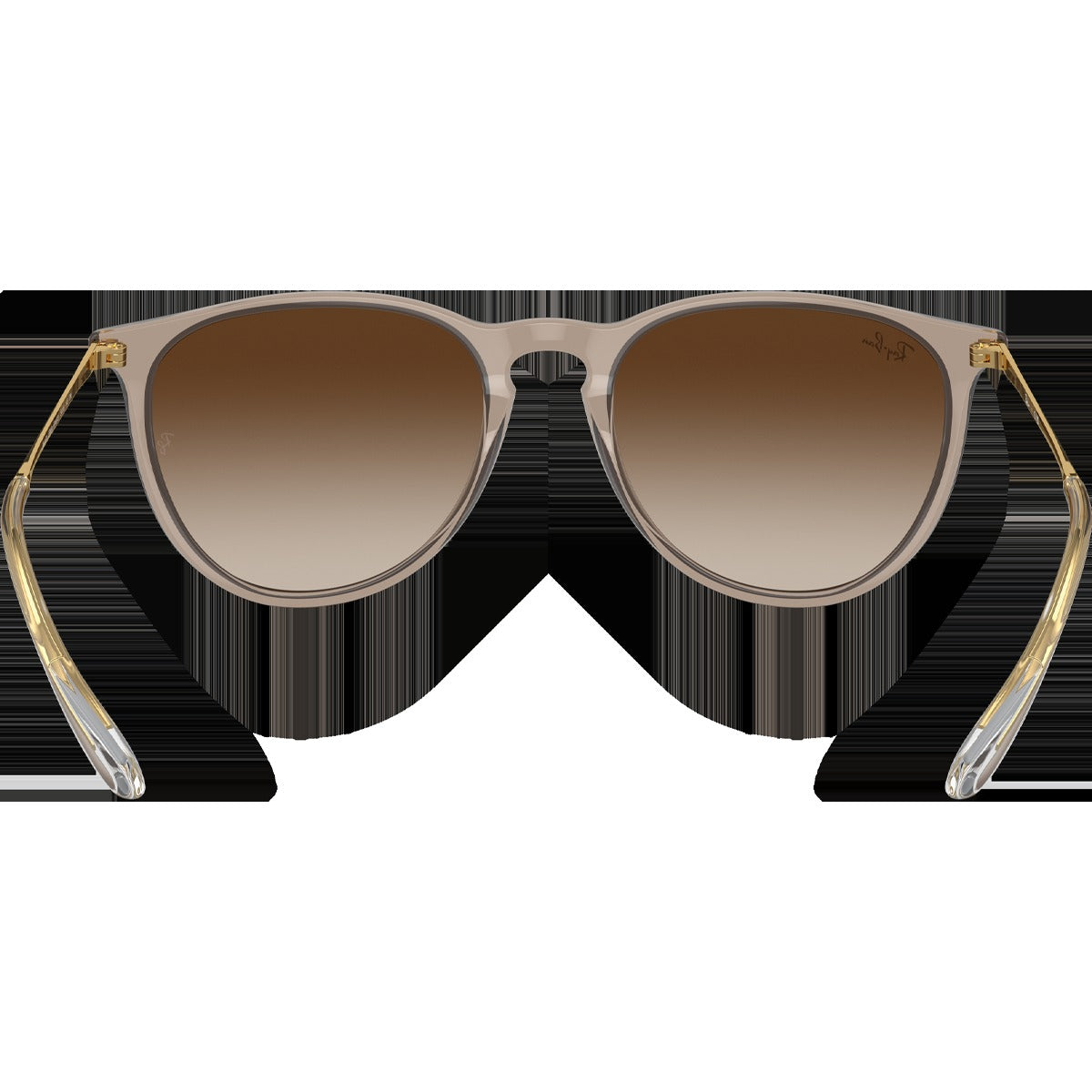 Erika - Polished Transparent Light Brown/Brown