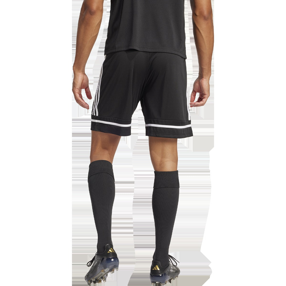 Men's Squadra 25 Shorts