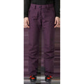Women's Blizzard Insulated Pant