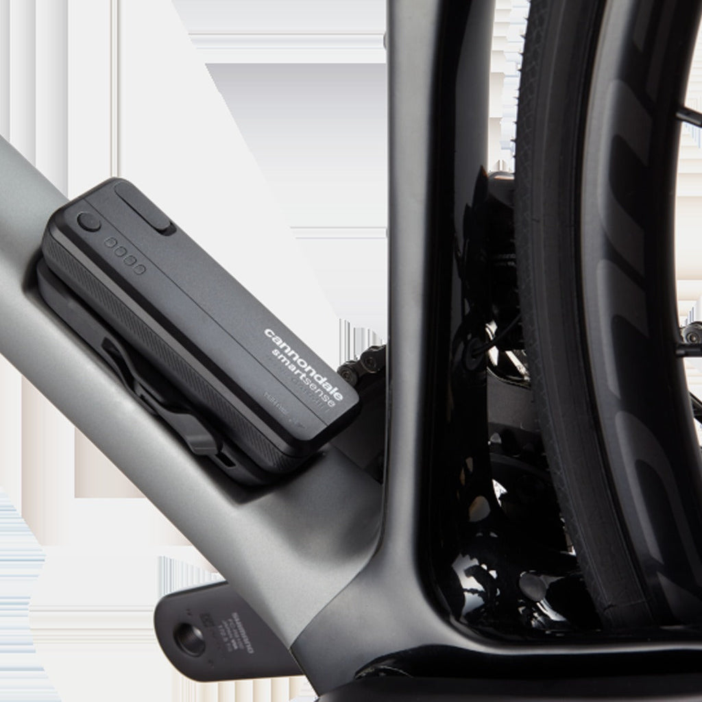 Synapse Carbon 2 RLE