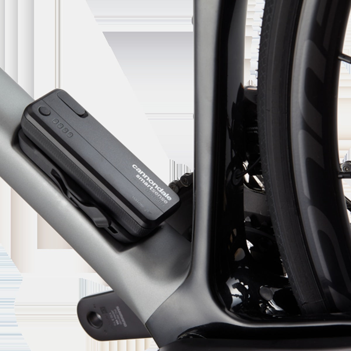 Synapse Carbon 2 RLE