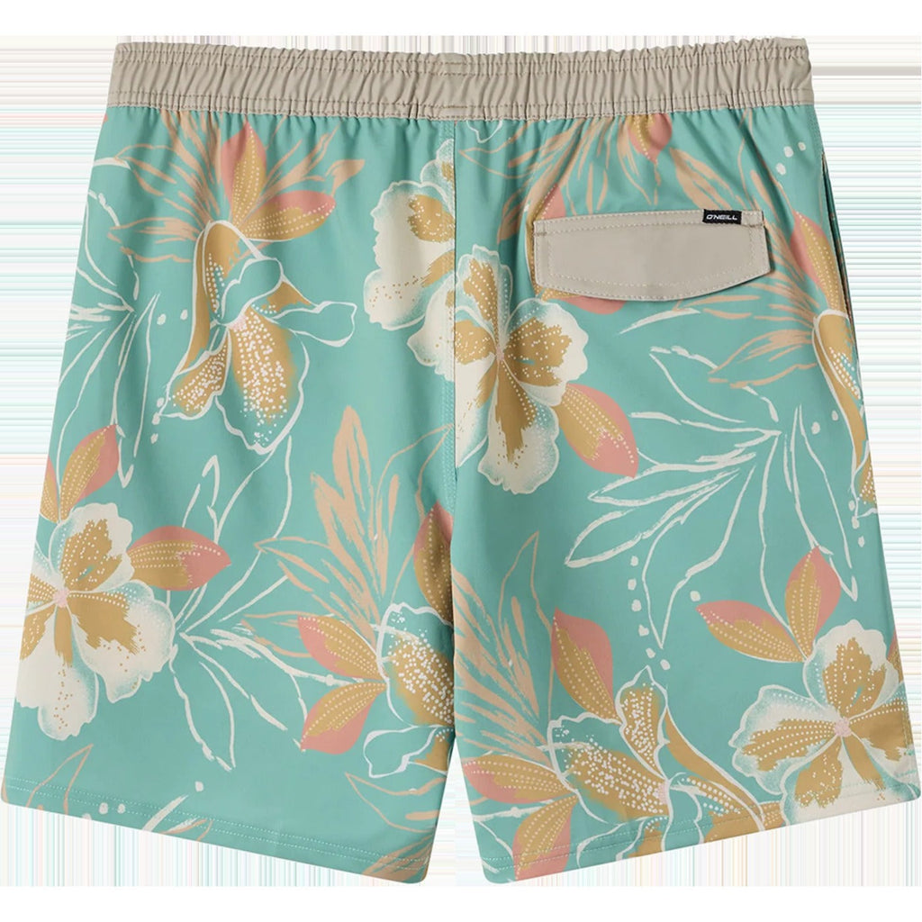 Men's Hermosa Elastic Waist Lined Trunk 17"