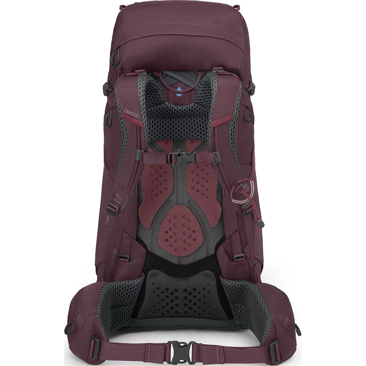 Women's Kyte 48