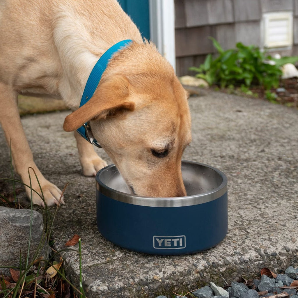 Boomer 8 Dog Bowl