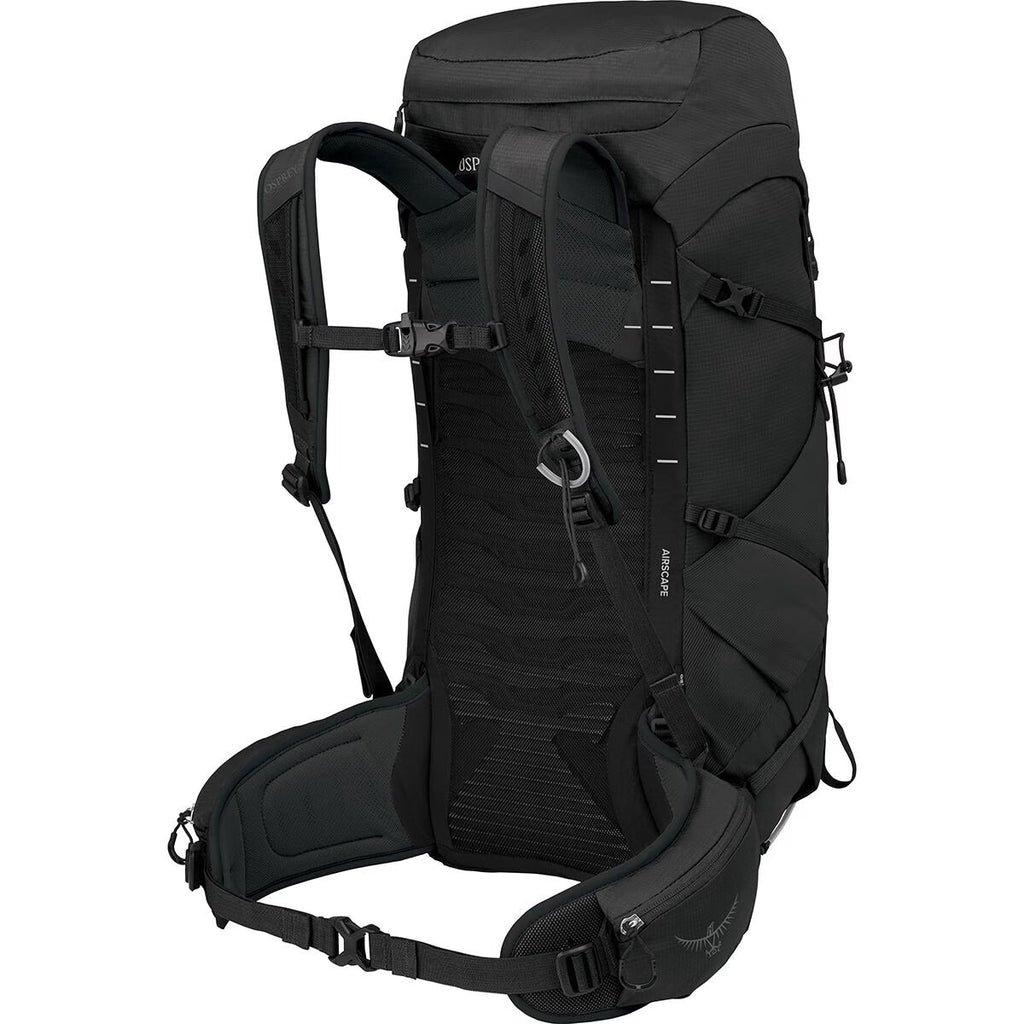 Talon 33