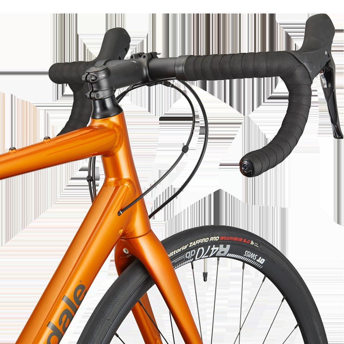 Synapse 2