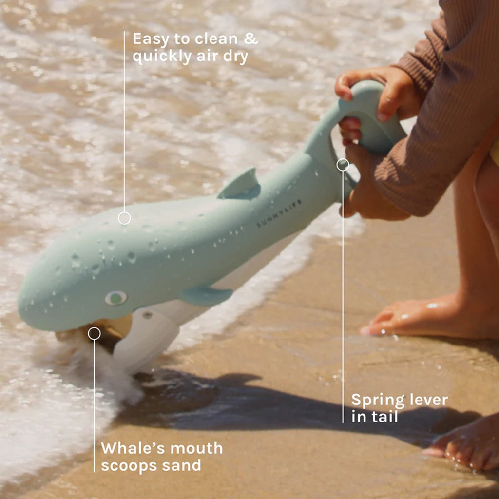 Sand Claws Whale