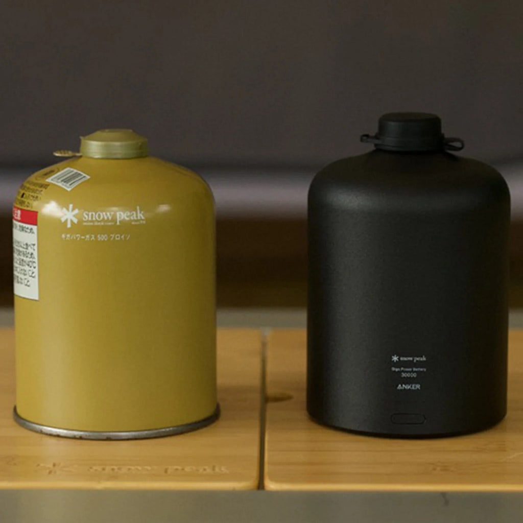 GigaPower Battery 30000