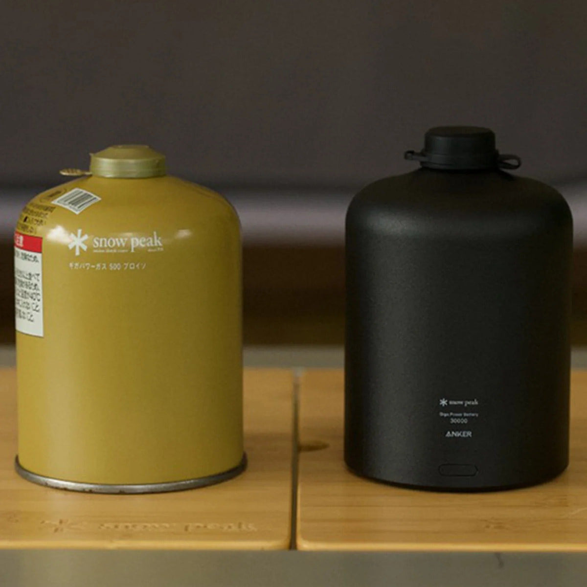 GigaPower Battery 30000