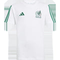 Youth Mexico DNA Tee