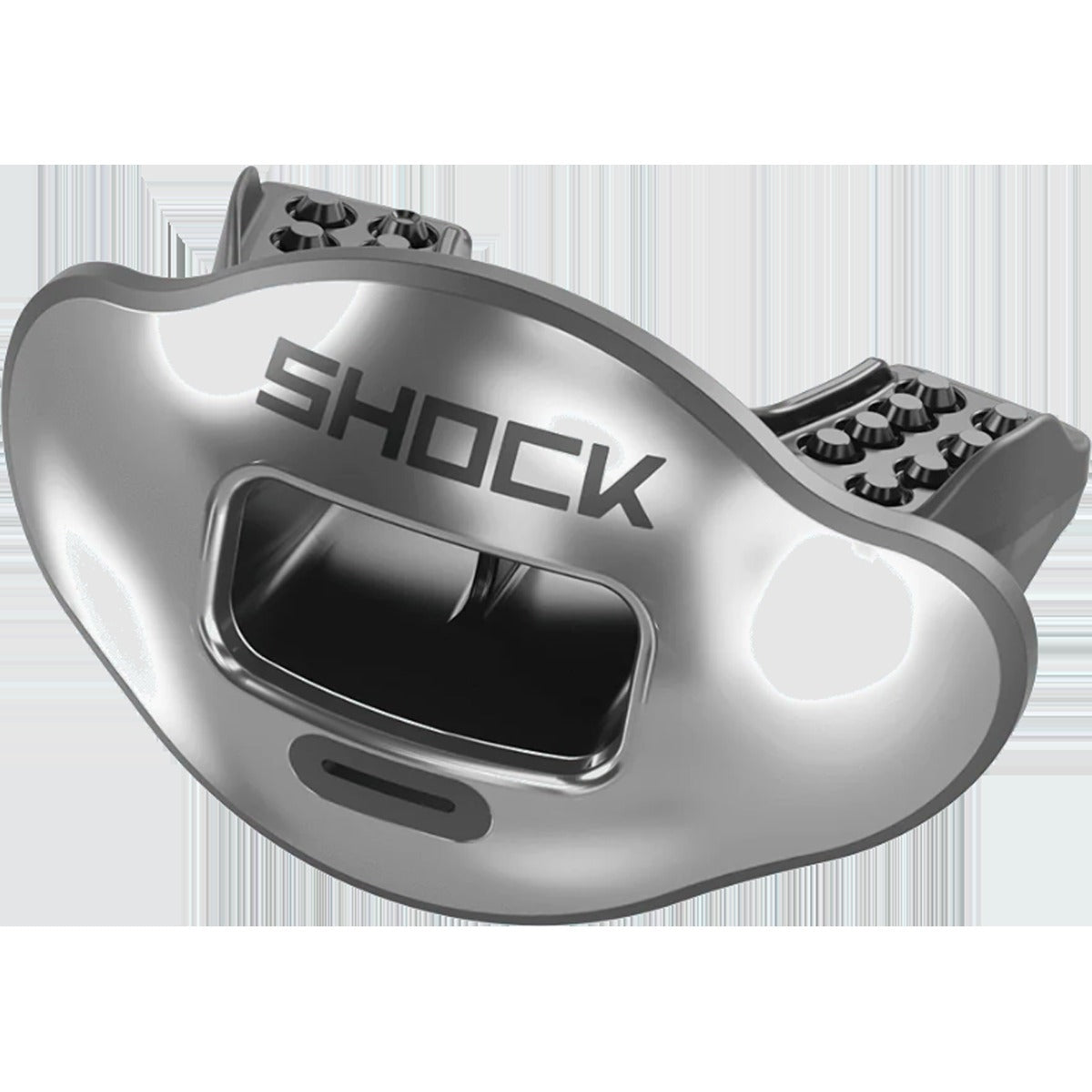 Max AirFlow Lip Guard Chrome