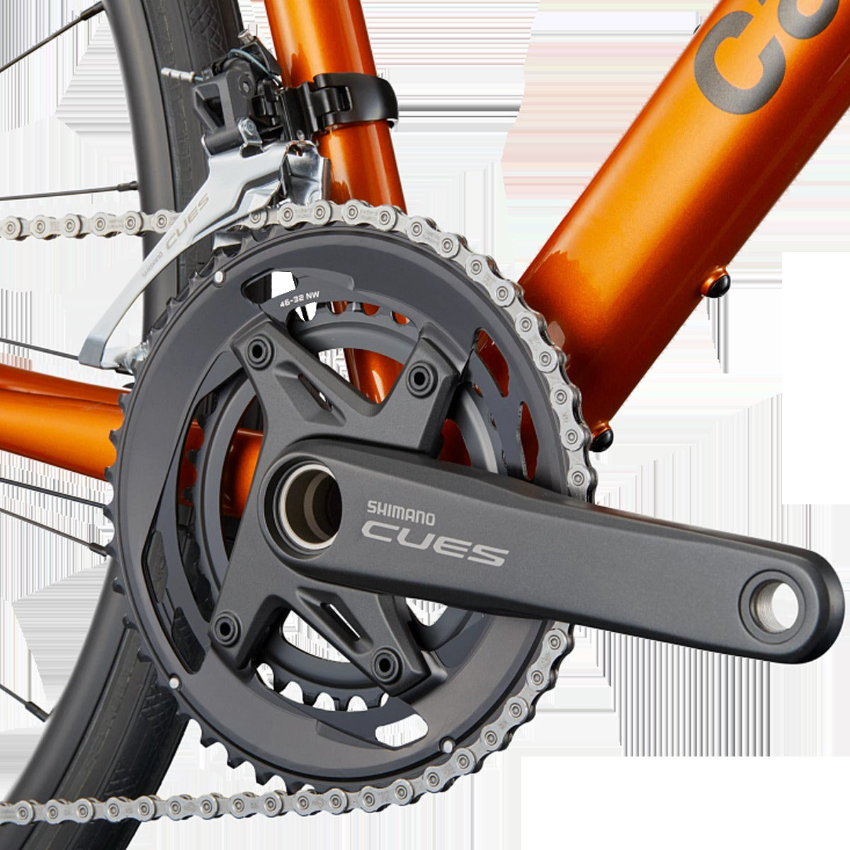 Synapse 2