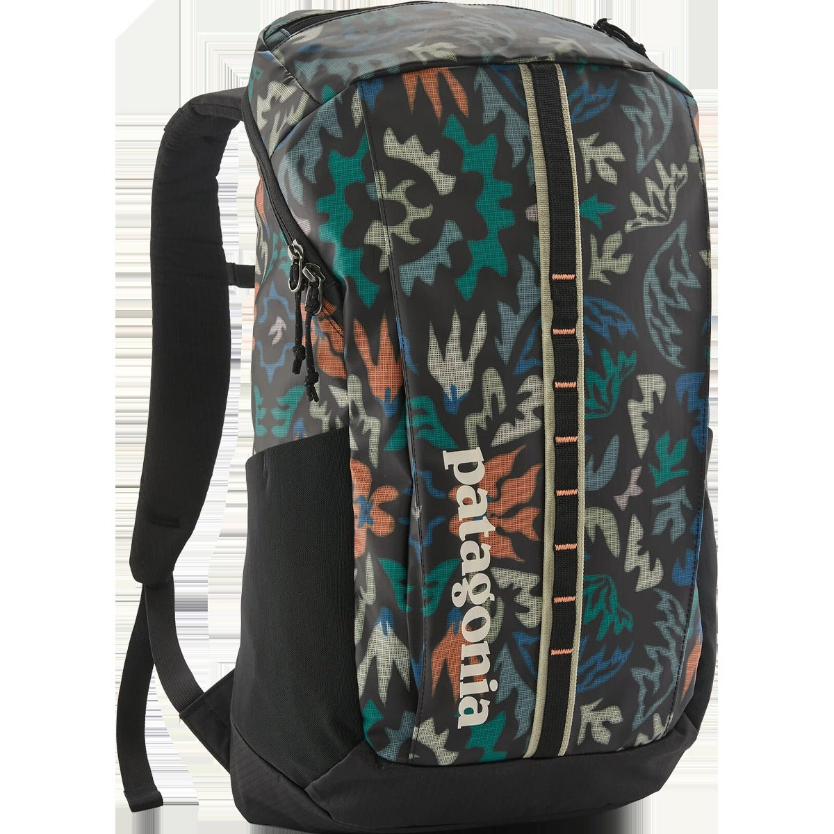 Black Hole Pack 25L