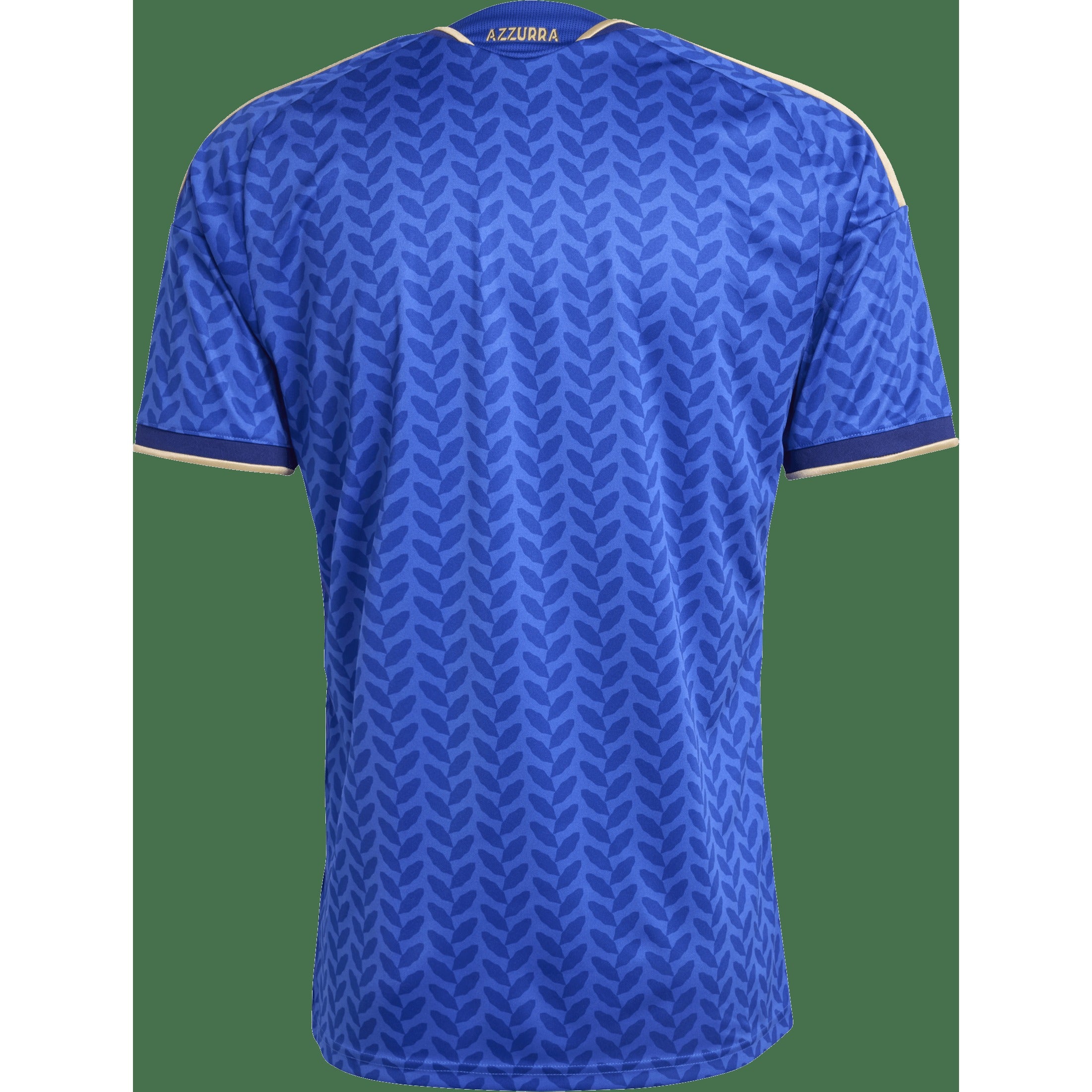 Italy FIGC Home Replica Jersey