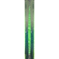 Elan Ripstick 96 Demo Skis