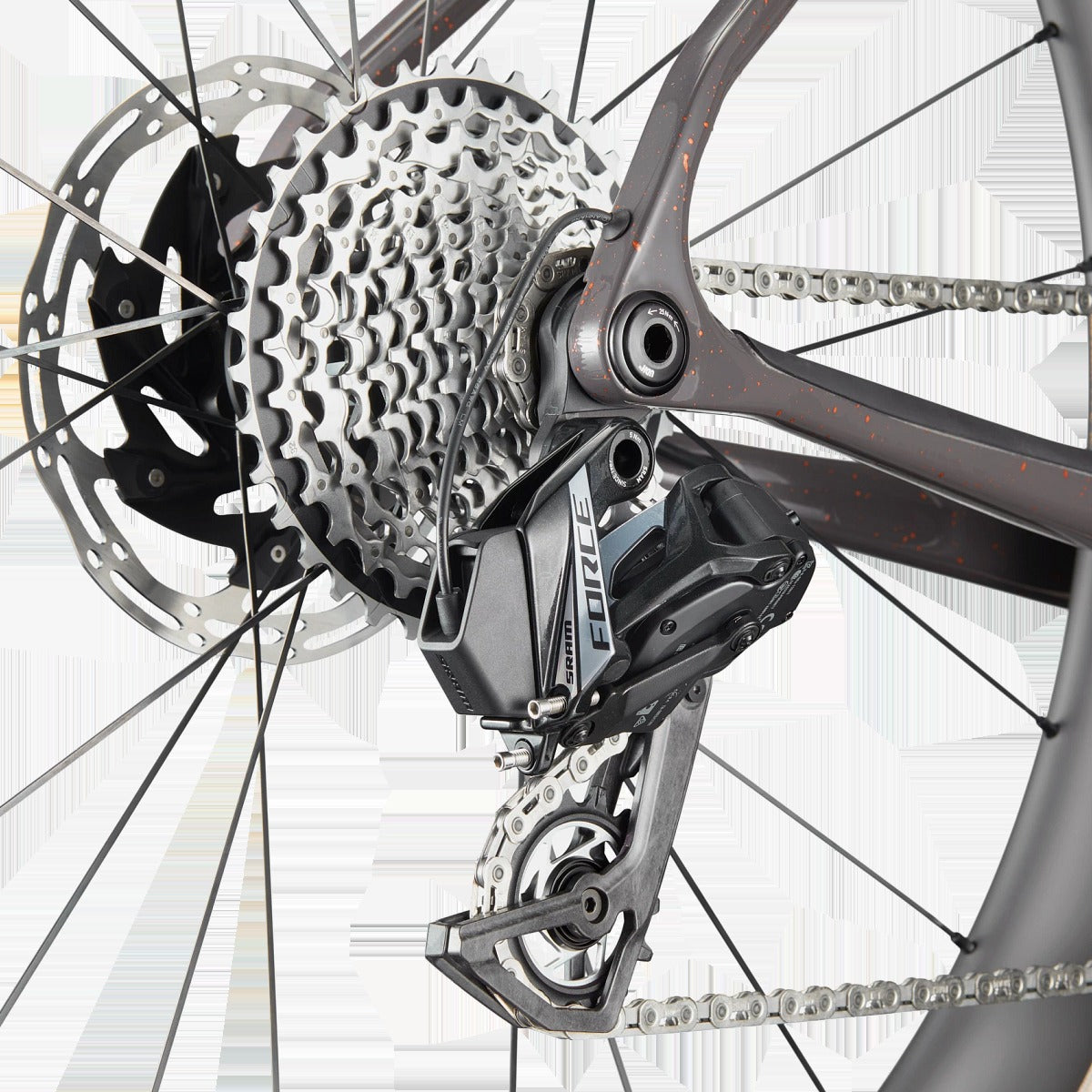 Synapse Carbon 2 SmartSense