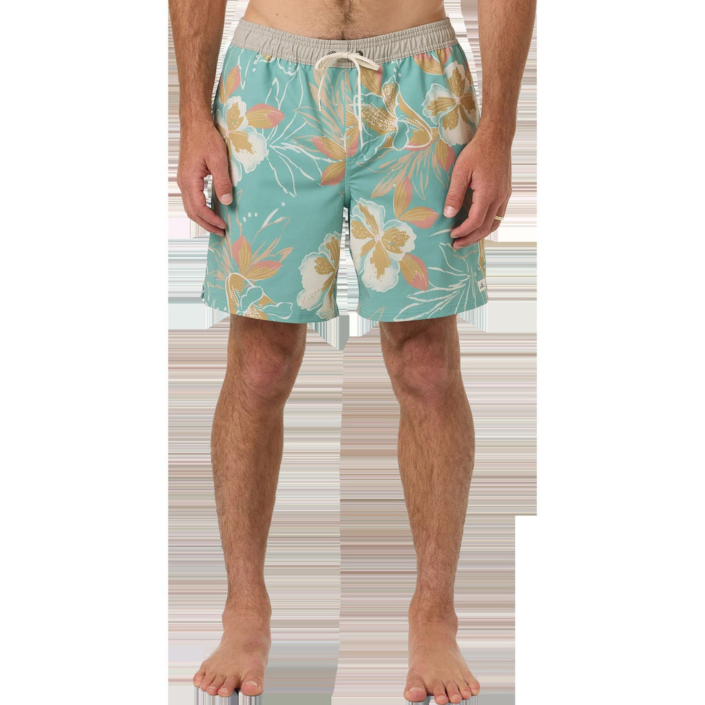 Men's Hermosa Elastic Waist Lined Trunk 17"