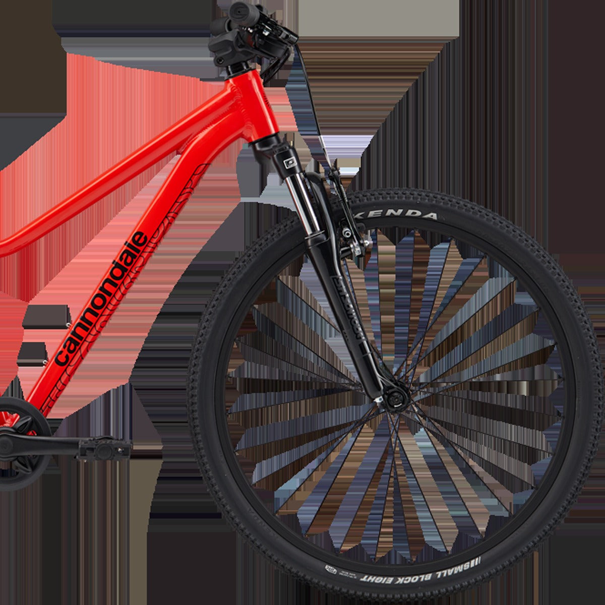 Youth Trail 24"