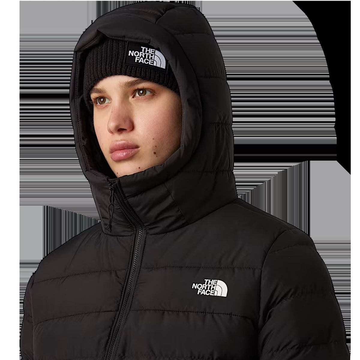 Women's Aconcagua Parka