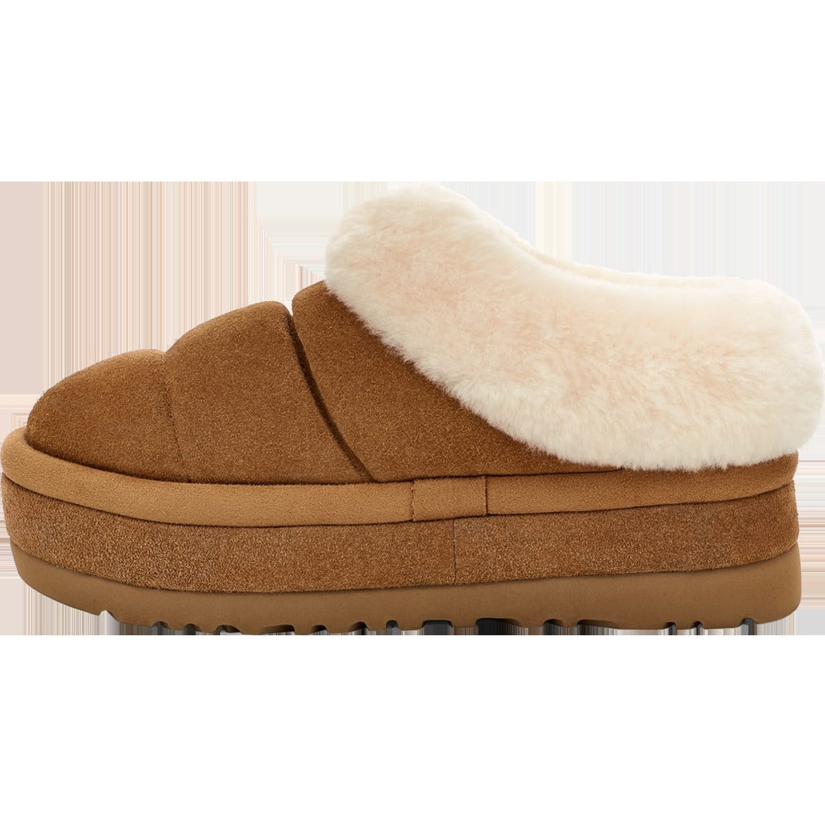 Women's Tazzlita