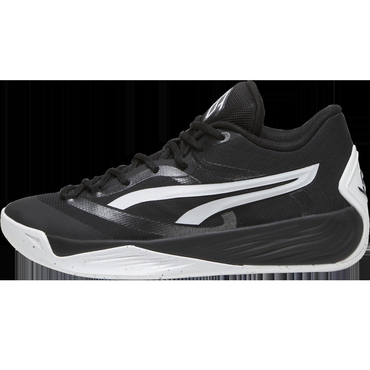 Women's Stewie 2