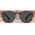 Oslo Polarized