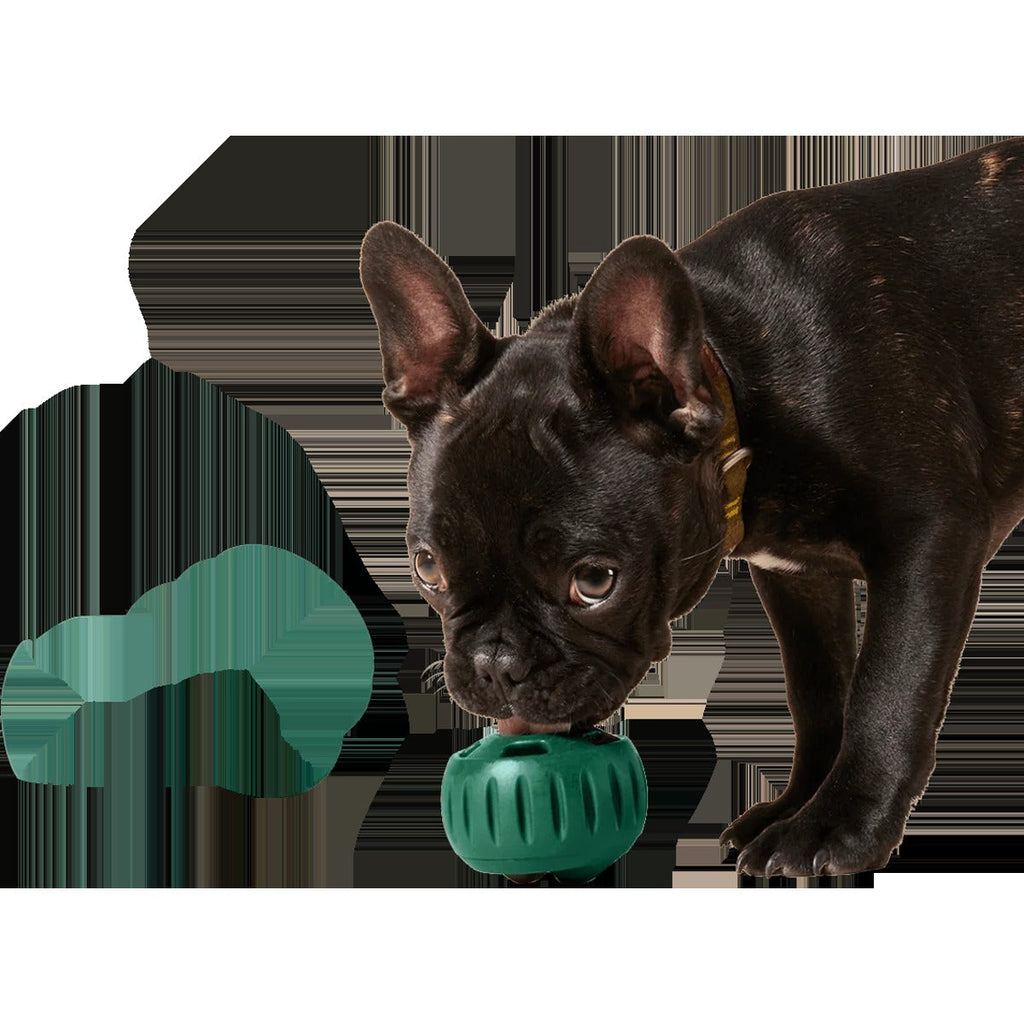 Pupsicle Pops