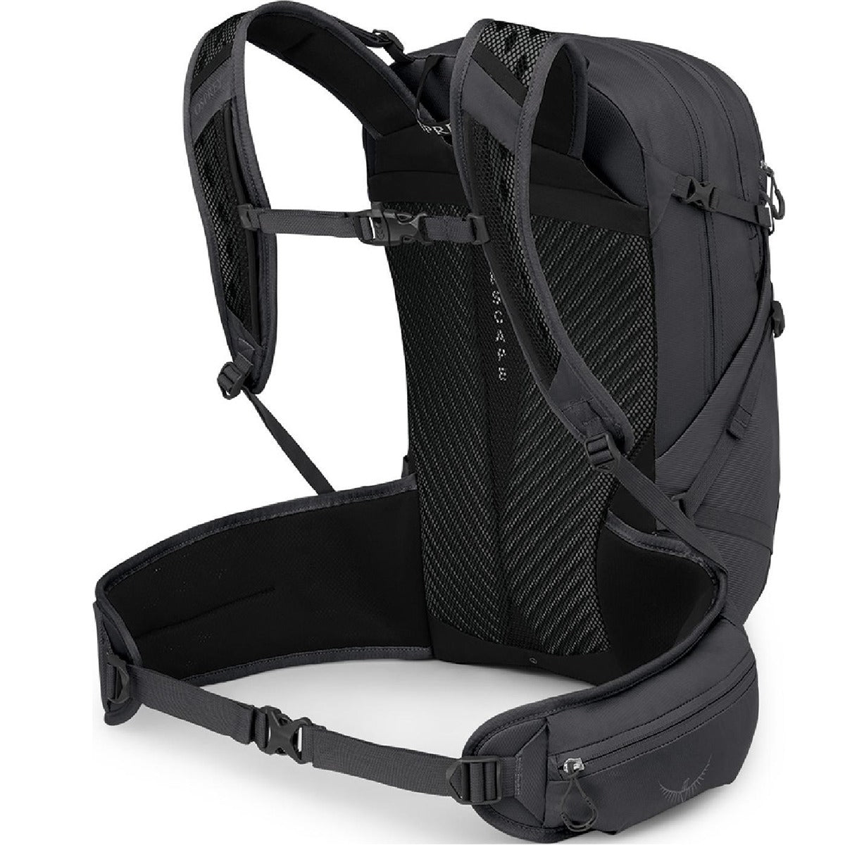 Sportlite 25 EF