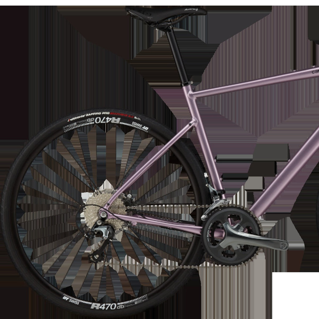 Synapse 2