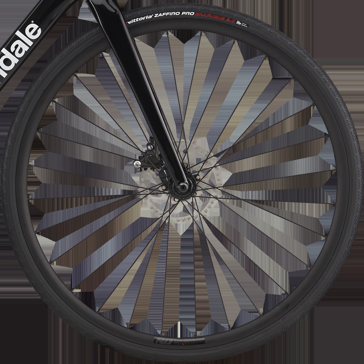 Synapse Carbon 4