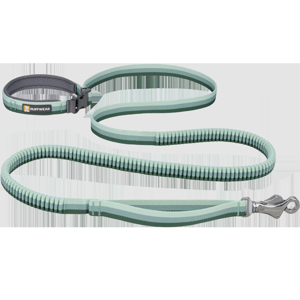 Roamer Bungee Leash