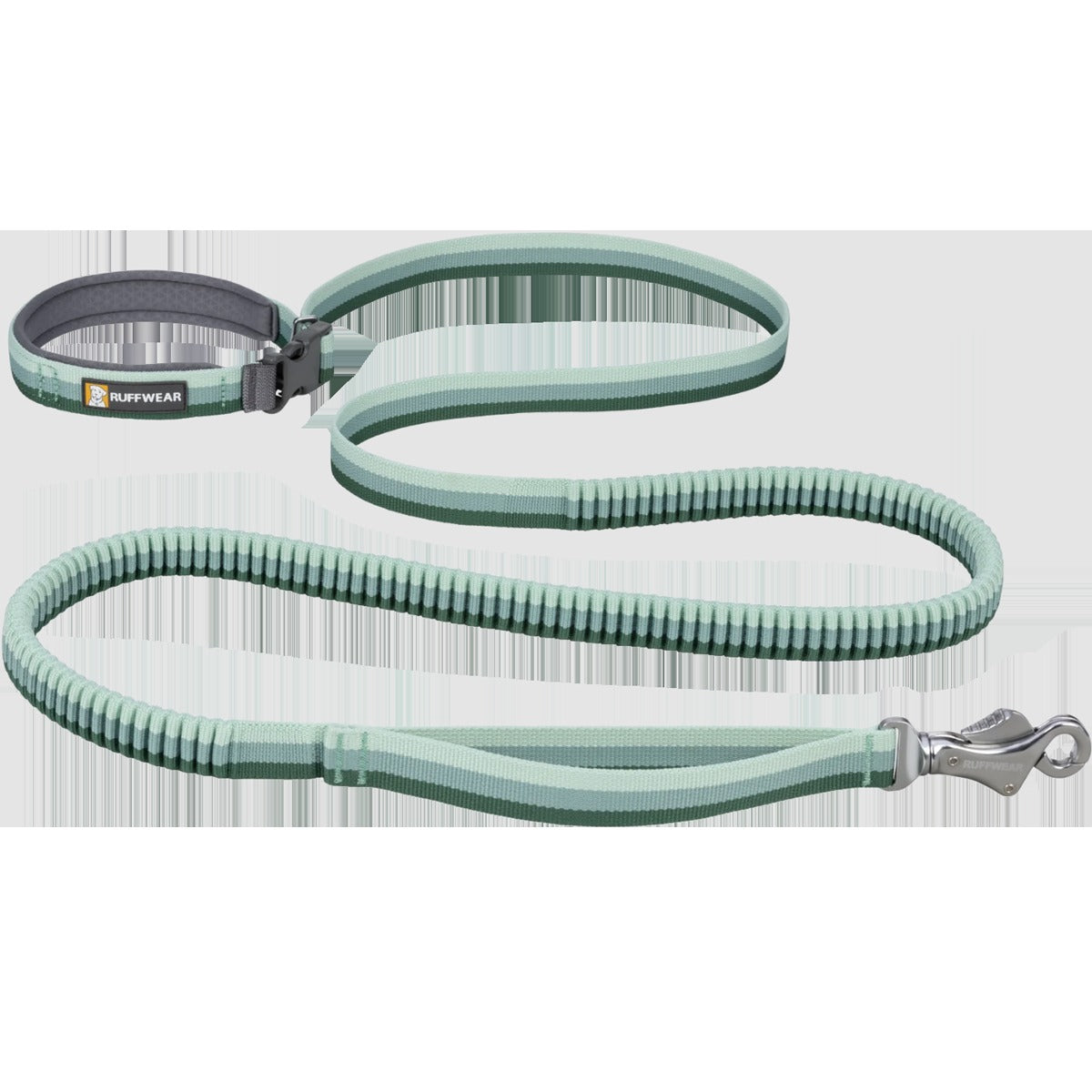 Roamer Bungee Leash
