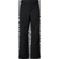 Men's Best Cedar RC Insulated Pant